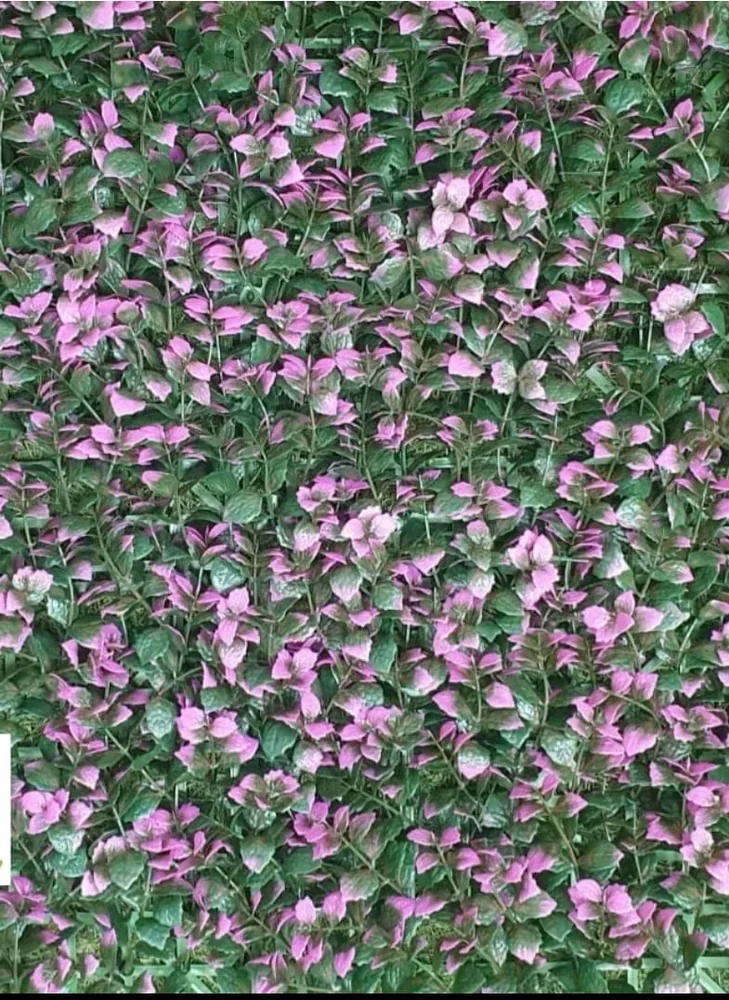 Muestra de jardín artificial